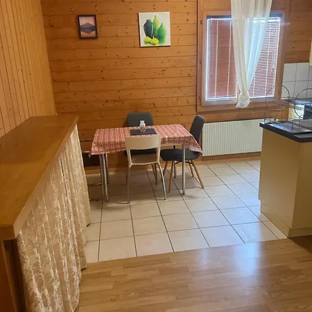 Happy Life Thun 公寓 施特菲斯堡